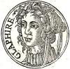 Glaphyra